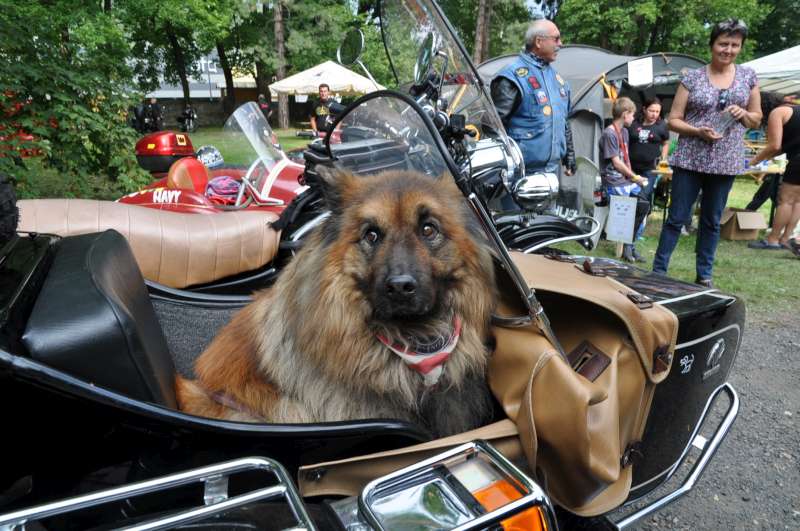 sidecar2013 (653)-800